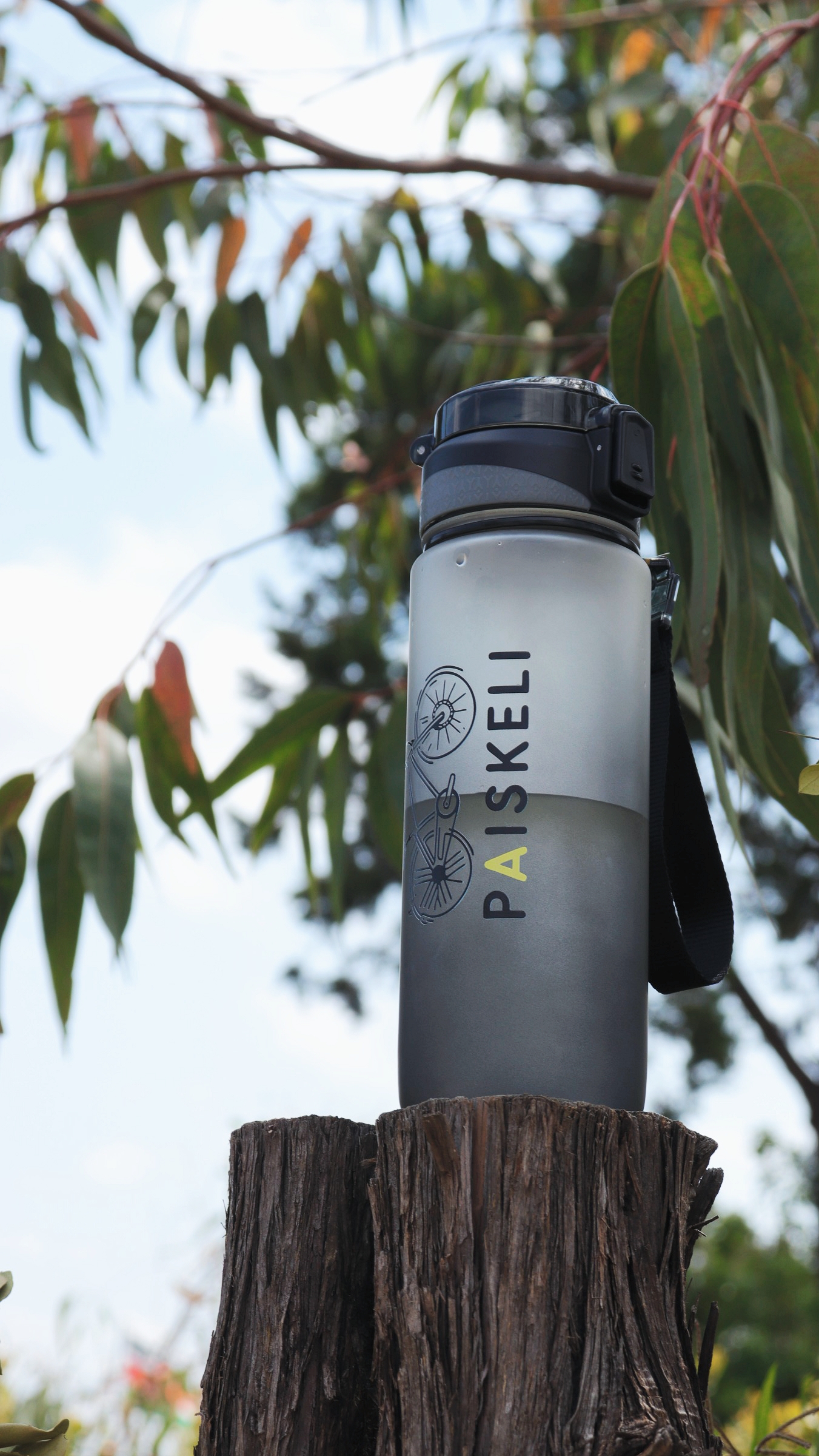 Paiskeli Bottle